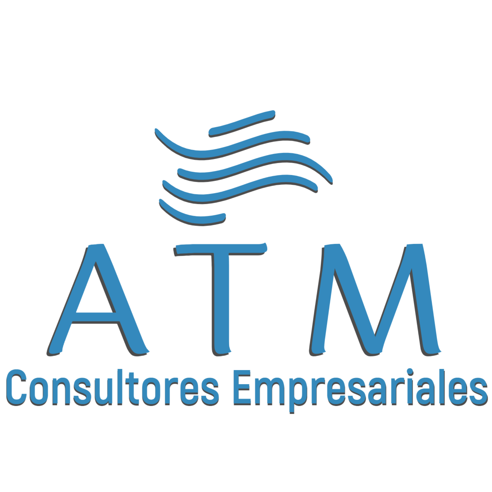 ATM Consultores Empresariales